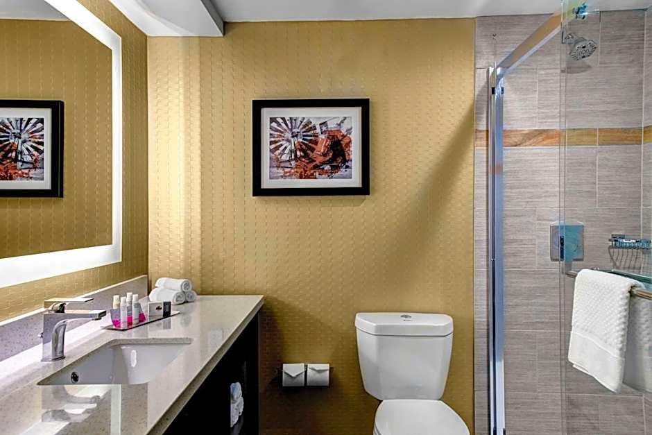 DoubleTree by Hilton Dallas DFW South - Arlington, TX