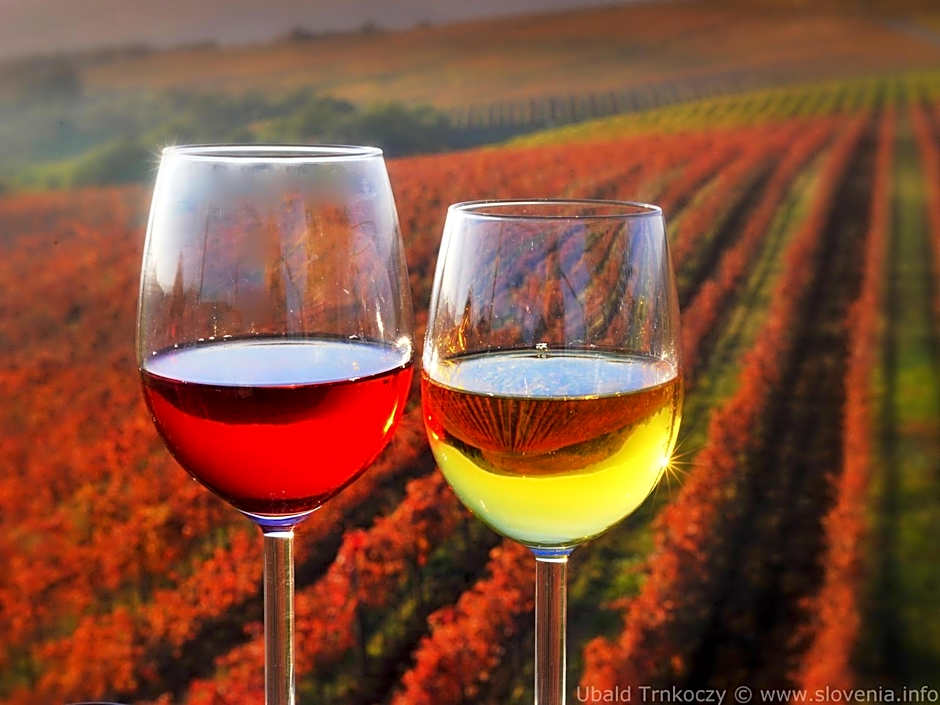 Lipa, Hotel & Bistro