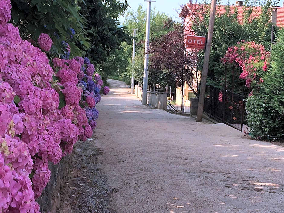 Sapanca Dilek Konagi Hotel