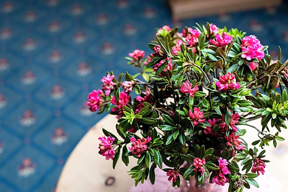 Hotel Waldhaus am See