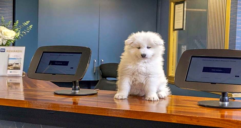 Hotel St Pierre, Sure Hotel Collection by Best Western