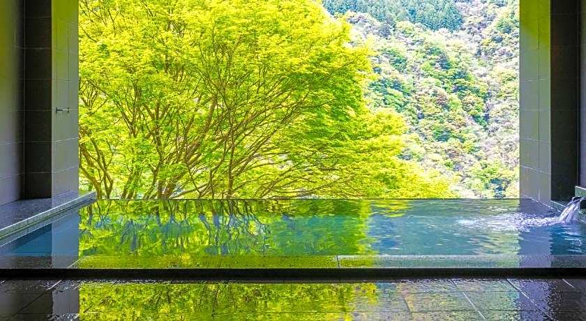 Wanoyado Hotel Iya Onsen Natural Hot Spring