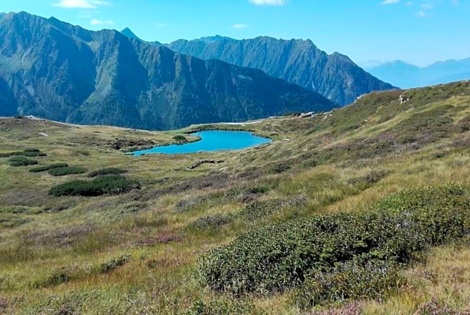 Almgasthaus Flecknerhütte