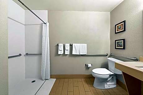 King Room - Accessible/Non-Smoking
