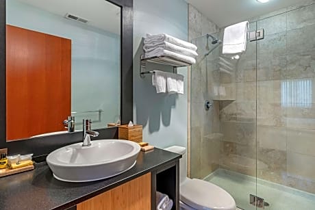 1 Queen Bed Non-Smoking Shower Only High Speed Internet Access Microwave And Refrigerator