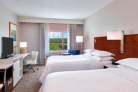 Traditional, Guest room, 2 Queen