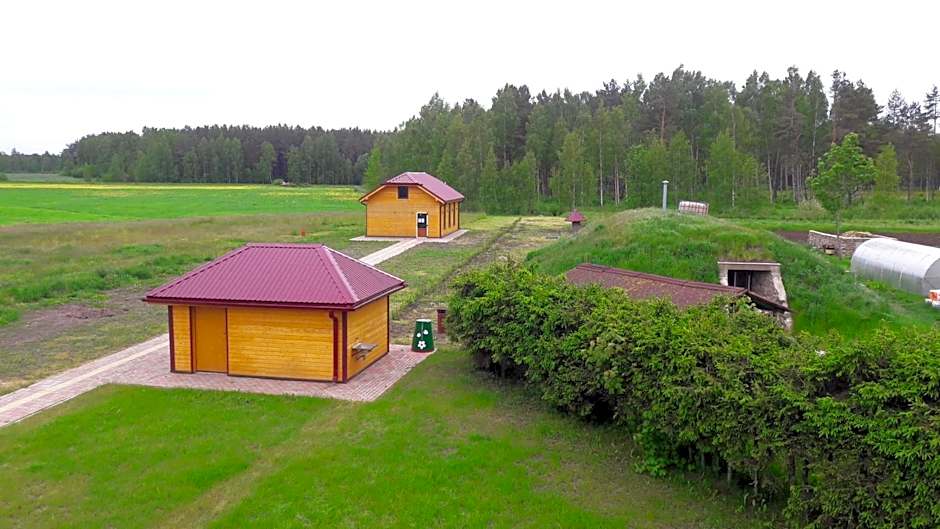 Dvēseles veldzes dārzs