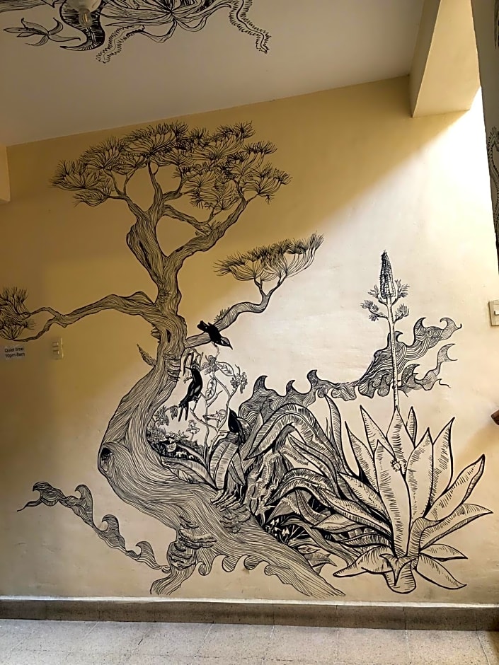 Los Nardos Hostel