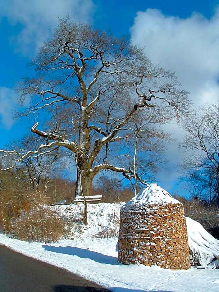 Hotel Schwalenberger Malkasten