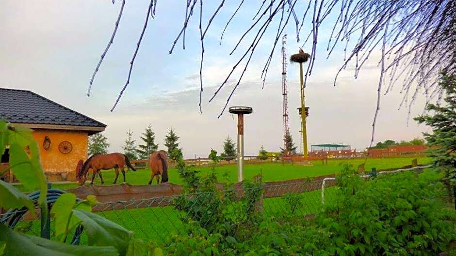 Agroturystyka Klekusiowo