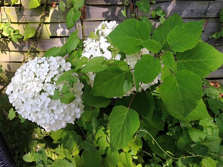 Bed & Breakfast Maria