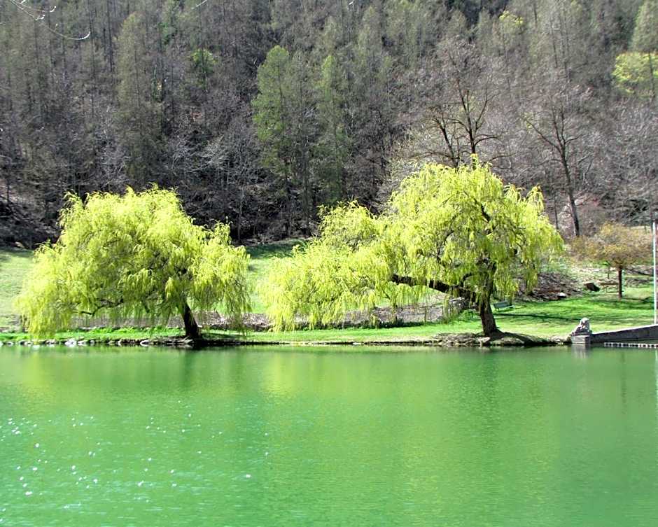 Hotel-Restaurant La Lauzétane
