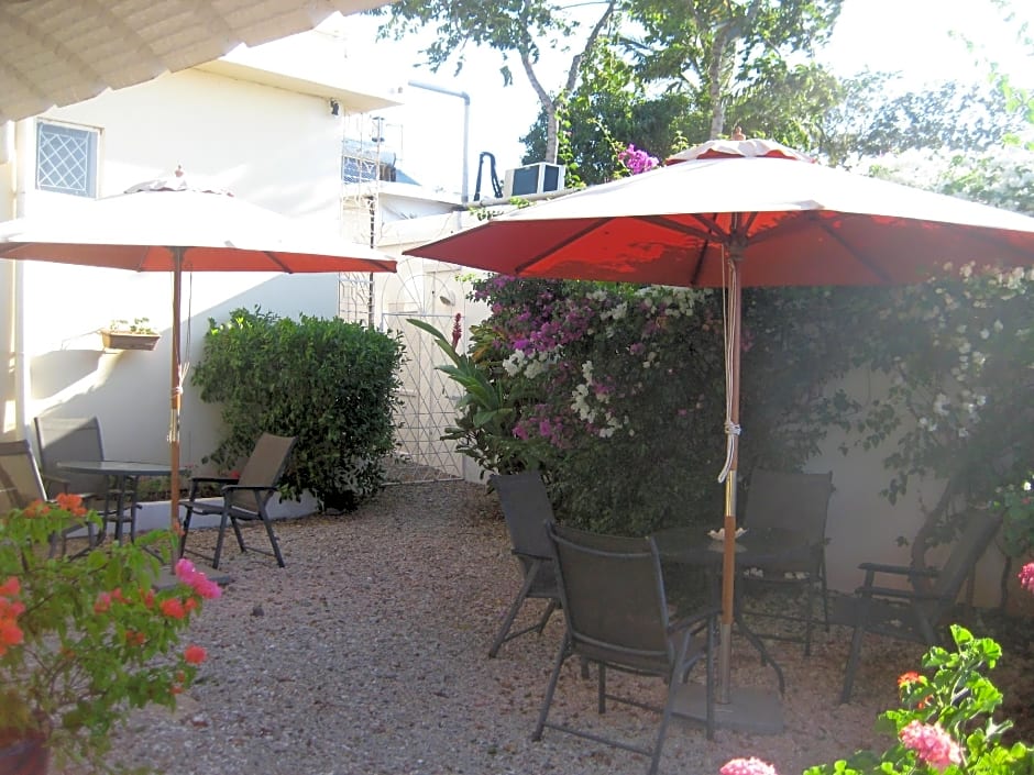 Le Cactus Guest House