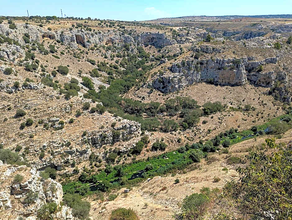 Il Peccato Originale