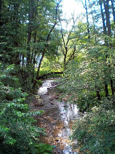 Complex Turistic Caprioara