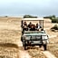 Hlosi Game Lodge - Amakhala Game Reserve