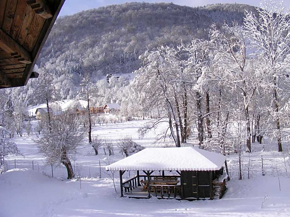 Vila Carpathia