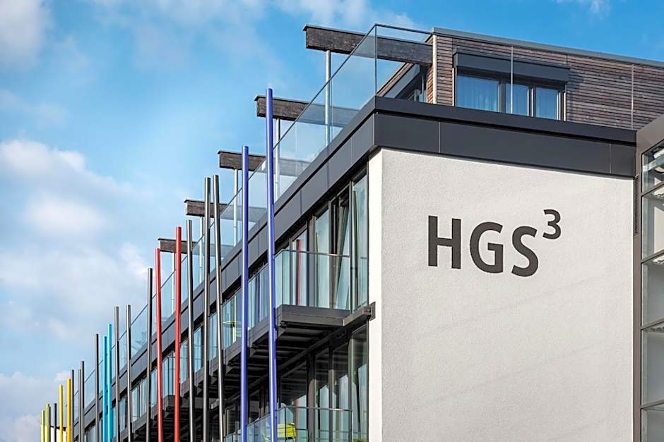 HGS³