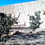 Tazoult Ouzina