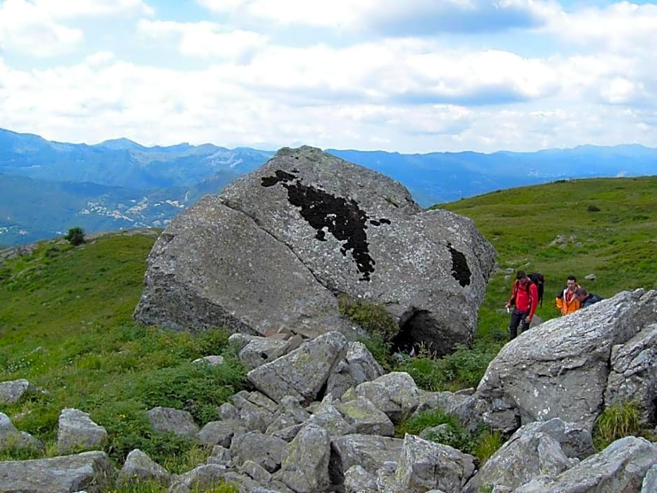 Appartamento il Bosco
