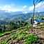 Adaara Retreat - Pet Friendly Cottages