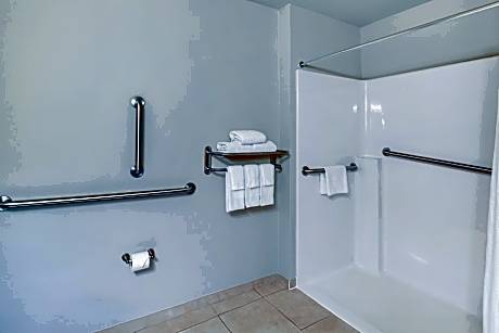 King Room with Roll In Shower - Disability Access/Non-Smoking
