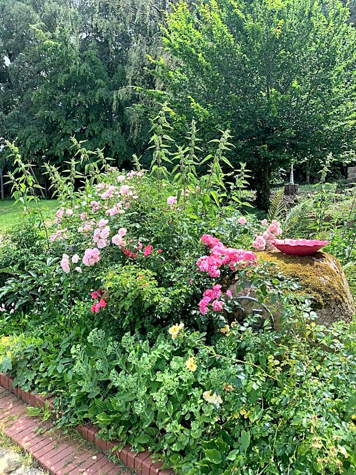 Hotel Pension Haus Stork