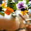 Hotel Mercure Toulouse Centre Compans