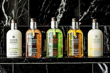 Grand Room, 1 King Bed, City View (Mobility/Hearing Accessible, Tub)