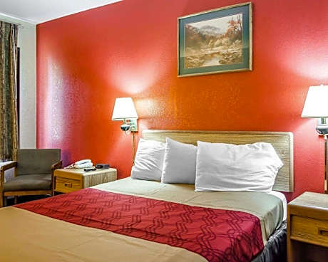 1 King Bed Nonsmoking