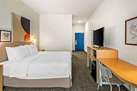 1 King Mobility Accessible Roll In Shower