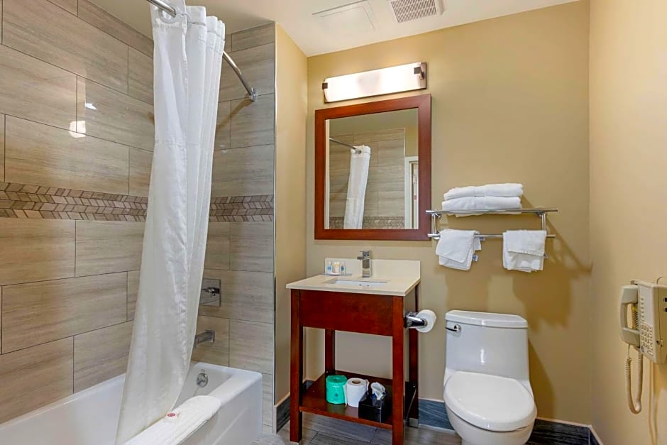 Comfort Inn & Suites near JFK Air Train