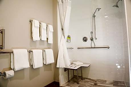 2 Bed Mobility Accessible Tub Non-smoking