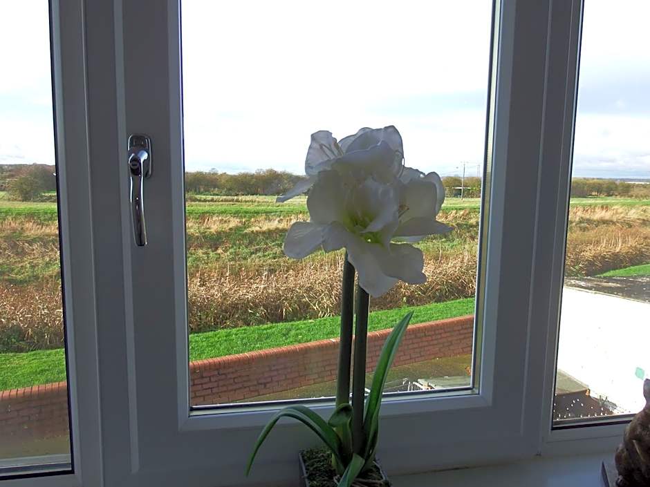 The Haven Inn Limited