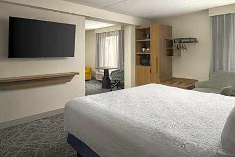 One-Bedroom King Suite with Sofa Bed - Non-Smoking