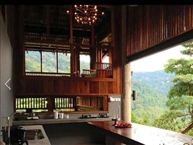 The Shorea