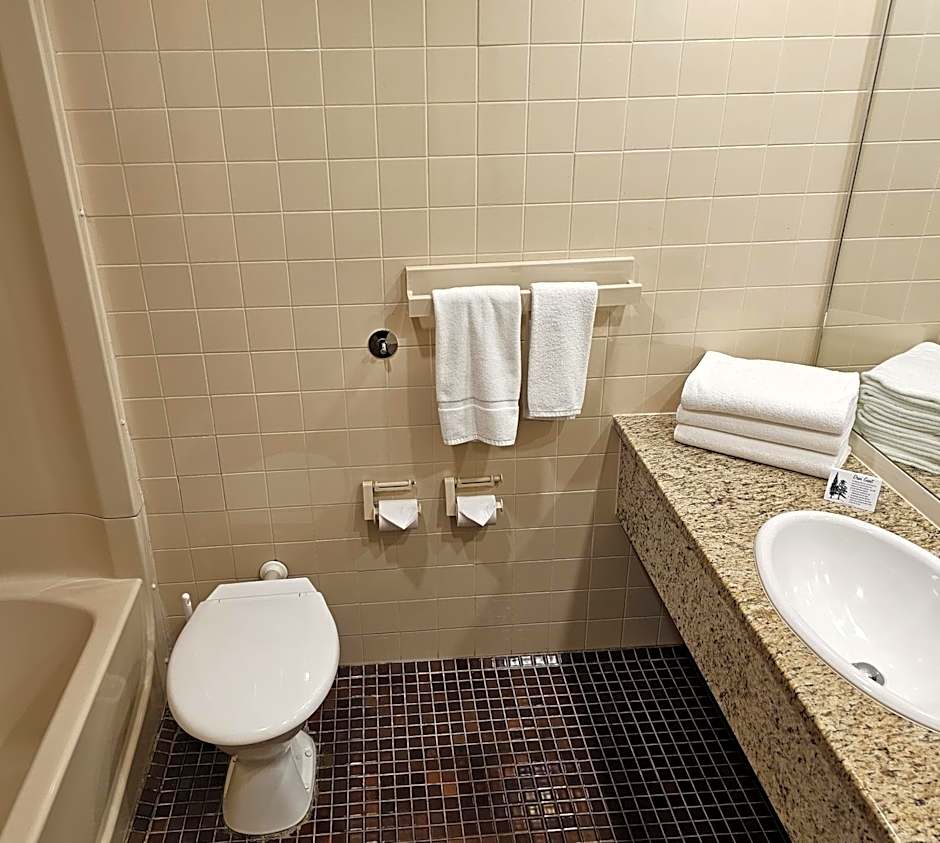 Auto Lodge Motor Inn