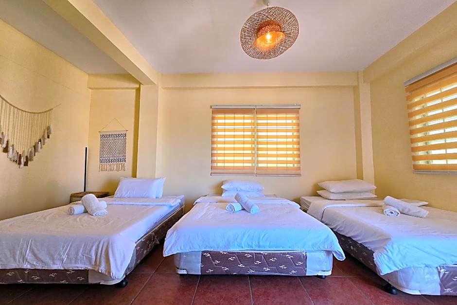 Surfside Hostel LU Surf Town