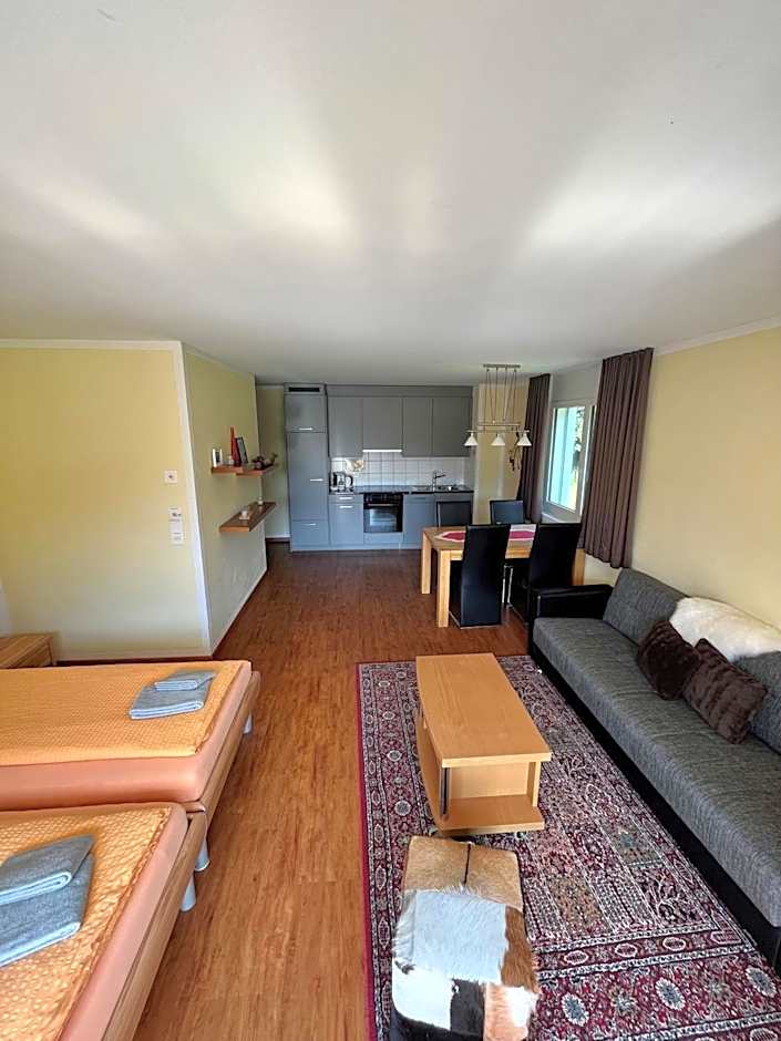 Aladin Apartments St Moritz