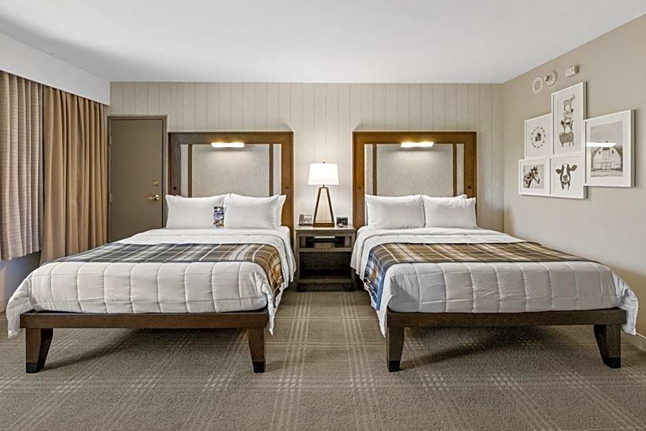 Photo 1 of 1 of Standard 2 Queen Beds