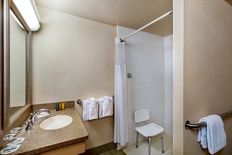 Handlery Hotel San Diego