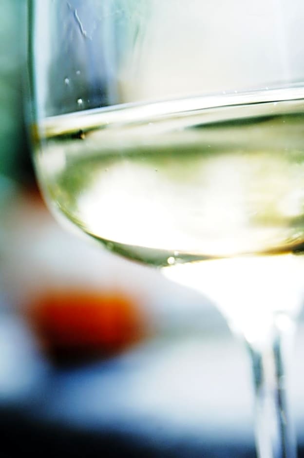 Weingut & Gästezimmer Nekowitsch