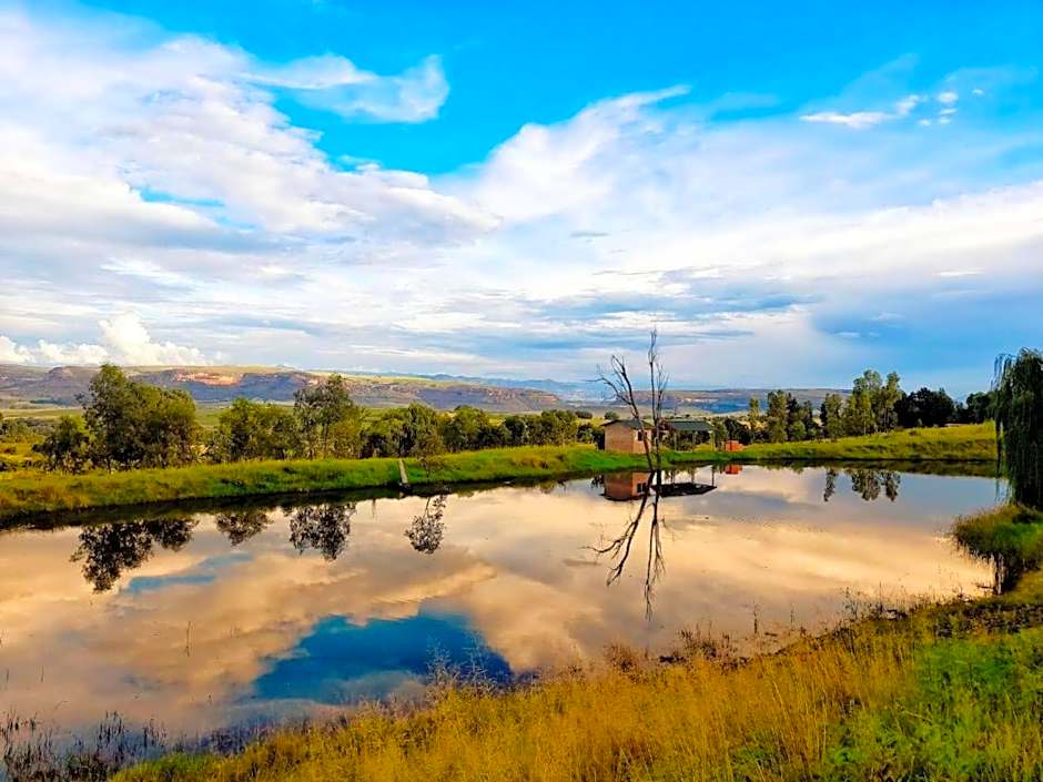 The Fat Mulberry Guest Farm