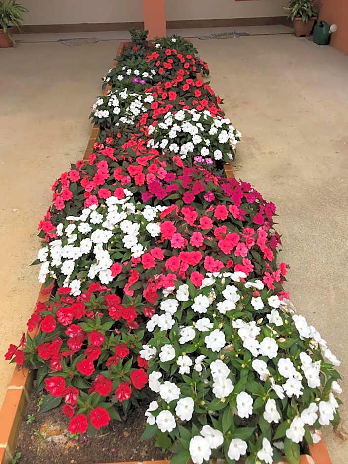 Ecopousada Garten Haus