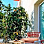 Riviera Hotel Menorca