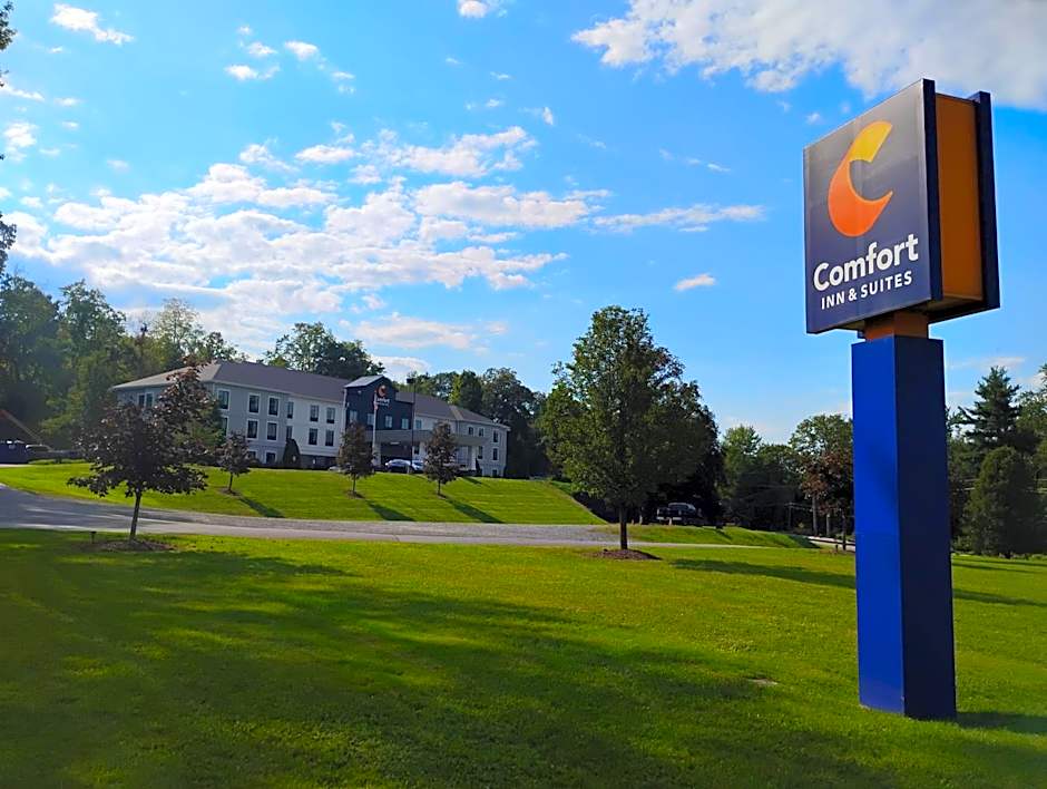 Comfort Inn & Suites Tunkhannock
