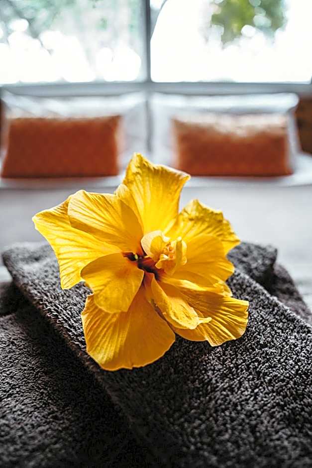 Tatahi Cove Back Packer