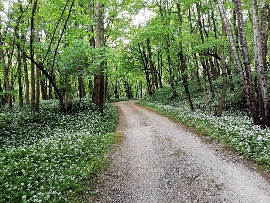 B&B La casa di Loretta
