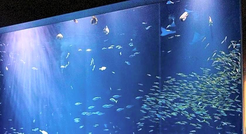 Zentsuji Grand Hotel