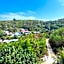 Tarsan Homestay